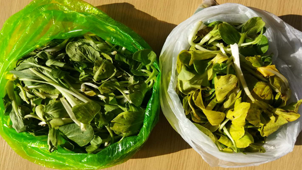 可降解（jiě）塑料袋能不能放冰箱？