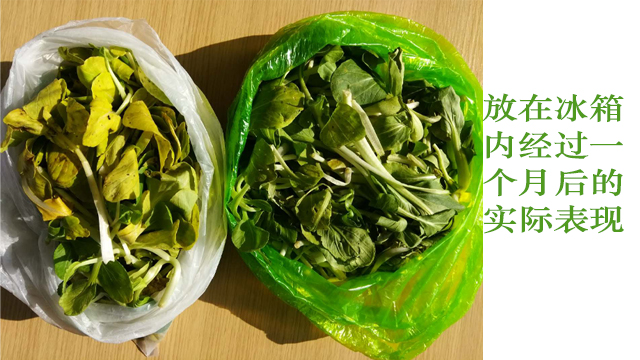 生物降解袋能直（zhí）接包装食品吗？